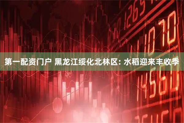 第一配资门户 黑龙江绥化北林区: 水稻迎来丰收季