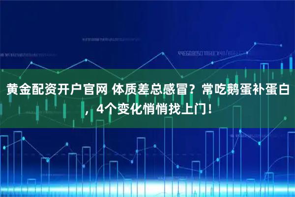 黄金配资开户官网 体质差总感冒？常吃鹅蛋补蛋白，4个变化悄悄找上门！